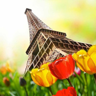 Telegram profile photo for Apprendre le Français