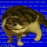Telegram profile photo for котячьи заметки