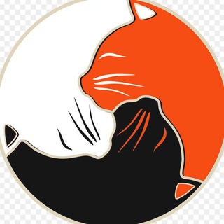 Telegram profile photo for 😻 Киска Топ