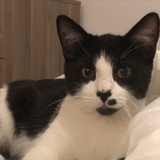 Telegram profile photo for Криптограф Крис