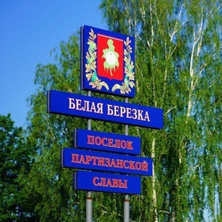 Telegram profile photo for БЕЛАЯ БЕРЕЗКА ᅠ