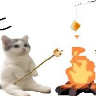 Telegram profile photo for qualitycontrol пейдж