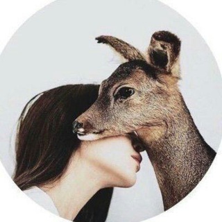 Telegram profile photo for -شقئ|⁴²²".