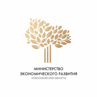 Telegram profile photo for Поддержка экономики НСО