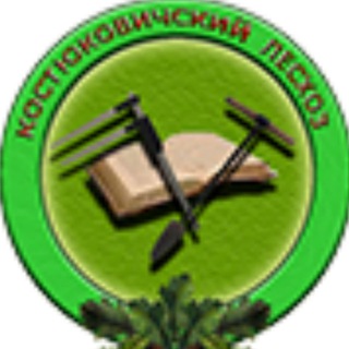 Telegram profile photo for Новости Костюковичского лесхоза