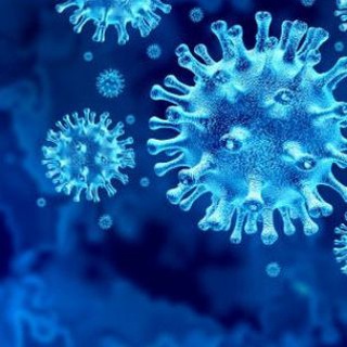 Telegram profile photo for COVID-19 Vaccine Side Effects, Experiences, and Discussions