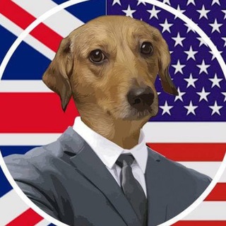 Telegram group profile photo for REAU Brazilian Doge