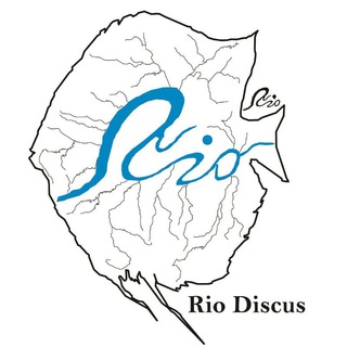 Telegram profile photo for RIO DISCUS CHANNEL