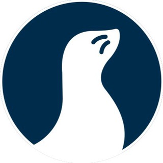 Telegram profile photo for Project MUR