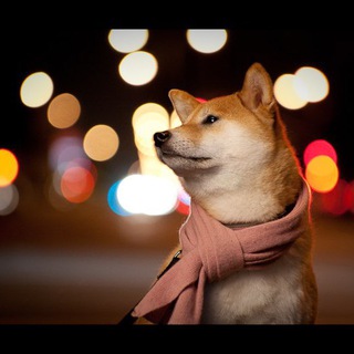 Telegram profile photo for SUKI ~ Portal
