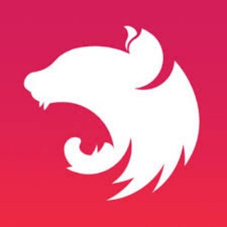Telegram group profile photo for NestJS en Español
