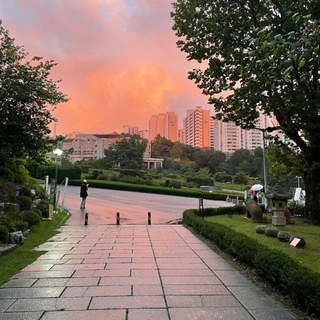 Telegram profile photo for Ewha Womans University