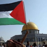 Telegram profile photo for Palestine - Gaza - Nouvelles de Palestine أخبار فلسطين بالفرنسية و بلغات أخرى