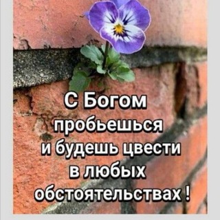 Telegram profile photo for Ободрение Надежда