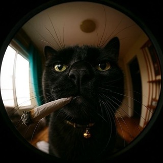 Telegram profile photo for Скупка карт и прочее💵✨