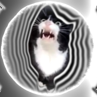 Telegram profile photo for Mike Sorrow | Кот Борис'с даэри