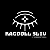 Telegram profile photo for Переходник в Сливы Рагдолл Сук и Тролеей