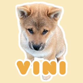 Telegram profile photo for Vini the Shiba Portal