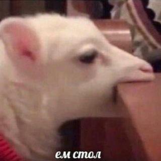 Telegram profile photo for существа извне