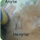 Telegram profile photo for воробьева катя🐈⬛️
