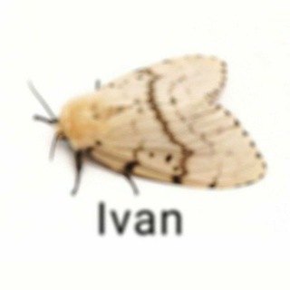 Telegram profile photo for Мусоропровод