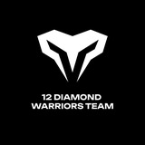 Telegram profile photo for 12DIAMOND WARRIORS team