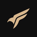 Telegram profile photo for Talon Finance Portal
