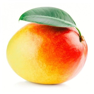 Telegram profile photo for Mango