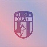 Telegram profile photo for «houvenn» | rofl football club