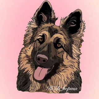 Telegram profile photo for HS.b_bepтa