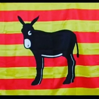 Telegram profile photo for Каталонский чат