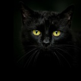 Telegram profile photo for Отзывы CANDYKURS