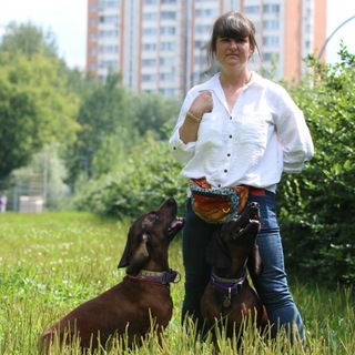 Telegram profile photo for Екатерина | Кинолог, зоопсихолог, зооняня | Москва