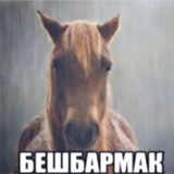 Telegram profile photo for Бешбармаки в рж