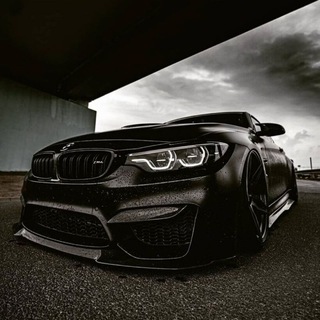 Telegram profile photo for Music_trend