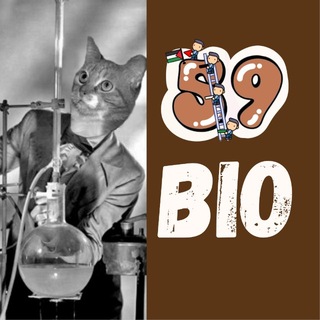 Telegram profile photo for βBiochemistry || πππ ππ¨πππ¨π«π¬ 59