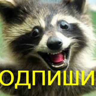 Telegram profile photo for Юмор и Позитив