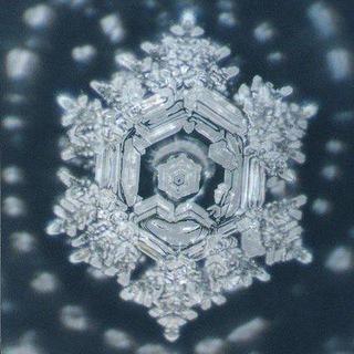 Telegram profile photo for Wasser H2O Aufklärung