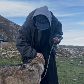 Telegram profile photo for lama