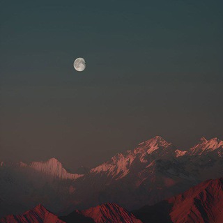 Telegram profile photo for تبصرة