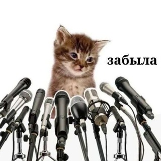Telegram profile photo for концепція морітур 🚷