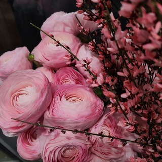 Telegram profile photo for Между делом и мечтой ✨