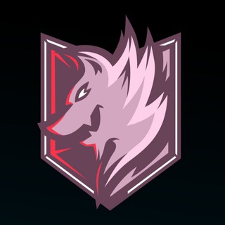 Telegram profile photo for Mohamed Hetimy (IDO)