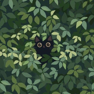 Telegram profile photo for Много приколов OmbreSt в вечности🌿