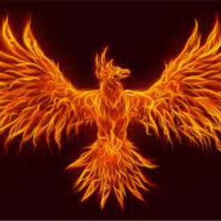 Telegram profile photo for Phoenix Indicator and Strategies