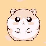 Telegram profile photo for Хомяк в крипте 💻