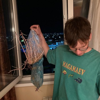 Telegram profile photo for новости косого из гонконга