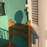 Telegram profile photo for شجرة ديسقوريدس.