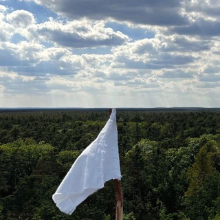 Telegram profile photo for Der Weg des Friedens - Videos
