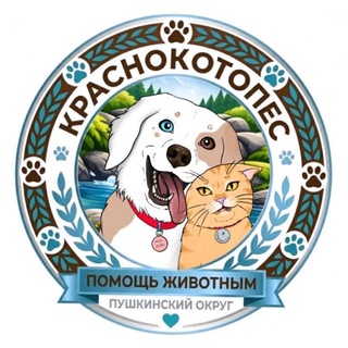 Telegram profile photo for Краснокотопёс